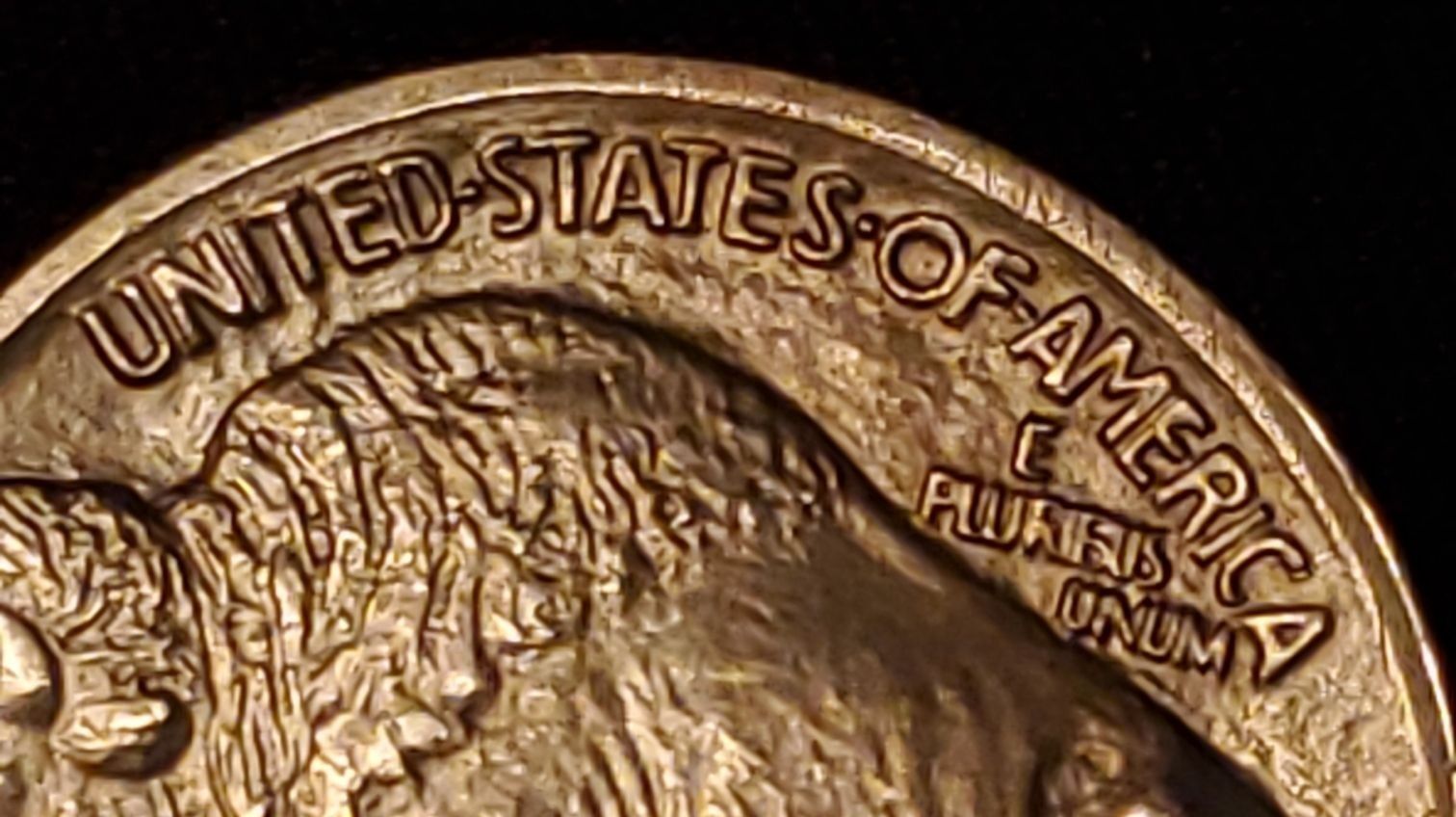 1913-P-Buffalo-Nickel-For-Grading